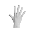 Human-hand-GIF.gif Human hand