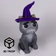 Halloween-Lovely-Angry-Cat-GIF.gif Halloween Lovely Angry Cat - Hat