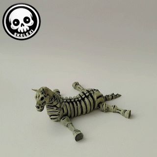 SKELEXI-Horse,-G2.gif Flexi Skeleton Horse