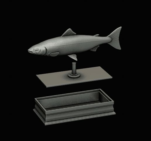 Salmon-fish-statue-box-3.gif fish sculpture of a Atlantic salmon / salmo salar with storage space / for 3d printing