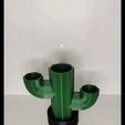 Giro-cactus-editado-logo-1.gif Cactus shaped pot