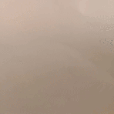 Flexi Sea Lion Pack: Realistic & Chibi (Print-in-Place) | Sea Lion Articulabe pack: Realistic & Chibi.