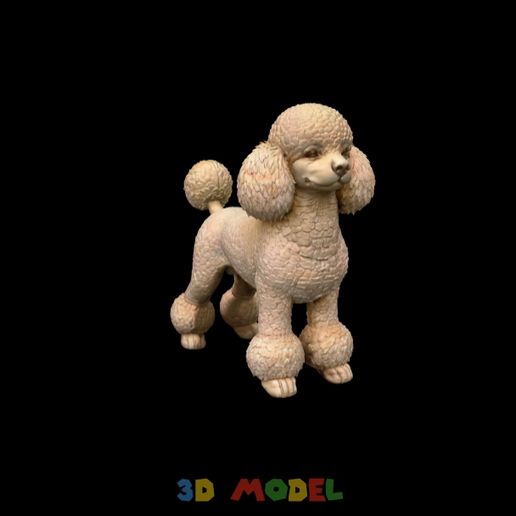 dog-poodle-sculpture-model.mp4 Hund Pudel Skulptur Modell
