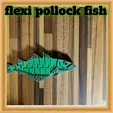 20240117_181341.gif Atlantic Pollock fish
