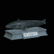 Base.gif fish wels catfish / Silurus glanis statue detailed texture for 3d printing