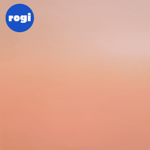 GIANT CROCODILE, ARTICULATED, FLEXI