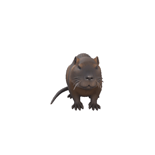 🇨🇱 Chilean rodent coypu・ STL File for 3D printing・Cults
