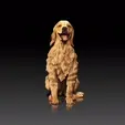 Golden-Retriever.gif Golden Retriever - DOG BREED - CANINE -3D PRINT MODEL