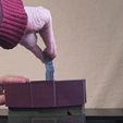 1000006556.gif Serie Plasti-Lock: Holiday Gift Lockbox - Lg