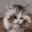 cool-fun.gif Suporte Alexa Echo Dot 4a e 5a Geração Cute Cat Versão 2