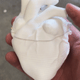 IMG_0696.gif Free STL file Heart Shaped Box・3D printing design to download, Dano