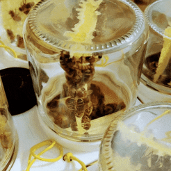1000058808.gif Honeycomb in a jar, carrier system for Segeberger hive frame DNM