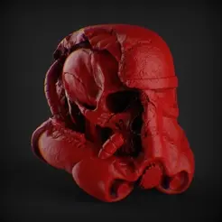 untitled.117.1.gif Skull Stormtrooper damaged head