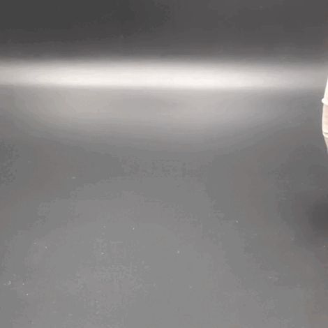 video_2024-02-03_19-57-23.gif flexi stegosaurus dinosaur (print-in-place)