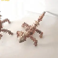 1.gif Articulated Moloch horridus, Thorny Devil, spiked lizard