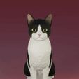 0001-0149s.gif Figura Gato Sentado