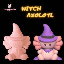 Holder-Post-para-Instagram-Quadrado-3.gif 3D file Witch Axolotl・3D print design to download