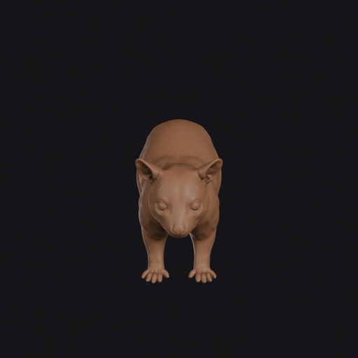 Brushtail Possum