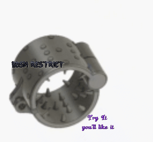 bdsm male penis ring chastity belt pendant scrotum clips sleeve sex toys  pr-03 3d print cnc STL File for Cults
