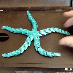 EtoileDeMer5.gif STL file Articulated starfish・3D printing design to download