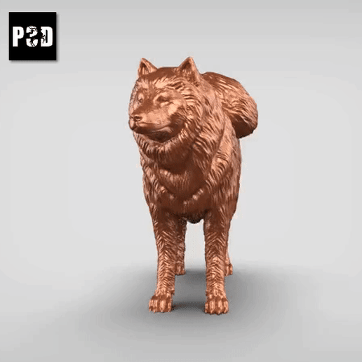 Samoyed V2 3D model