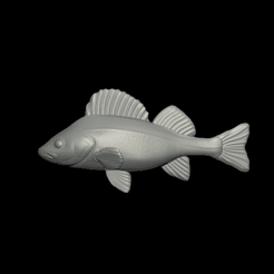 okoun-imprint.gif STL file detailed perch for imprint to form 3d lure・3D printable model to download, ARTMANS