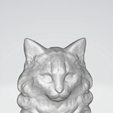3D-Viewer-2024-04-28-11-45-34.gif Cat, Head, Sculpture,