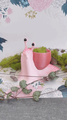 Snailpot.gif Schneckentopf