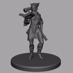 cults.gif STL file Half Tabaxi clerig or mage・3D printing model to download