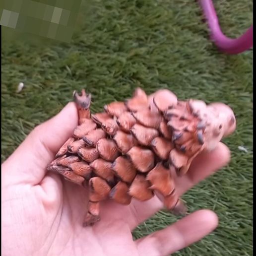 HedgeHog_Cult._2mp4.mp4 Erizo flexible articulado