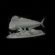mahi-mahi-klacek-1-2.gif mahi mahi / dorado 2.0 underwater statue detailed texture for 3d printing