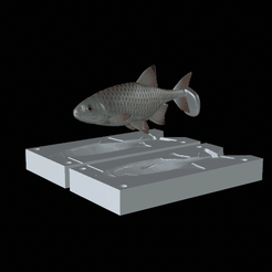 perlin-kopyto-13cm-ploutev.gif STL file AM bait common rudd / bream fish 2.0 13cm hoof form for predator fishing・3D printing design to download