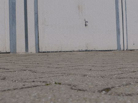 ezgif.com-crop_optimize_4to3_P1290676.gif [Bobby Car] Cordless Drill Motor