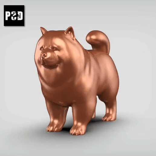 Chow Chow V3 3D model