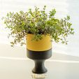 1g.gif Planter with Hidden Compartment