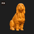 132-Basset_Griffon_Vendeen_Petit_Pose_06.gif Basset Griffon Vendeen Petit Dog 3D Print Model Pose 06