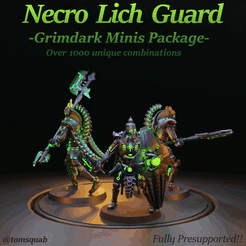 720pwithtext.gif [Tabletop Minis - PRESUPPORTED] Grimdark Necro Lich Guard