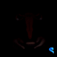Uterus-GIF.gif Útero