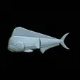 Am-bait-mahi-mahi-breaking-16cm-oci-5mm-13mm-nalev-2.gif AM bait fish mahi mahi / common dolphin 16cm breaking form for predator fishing