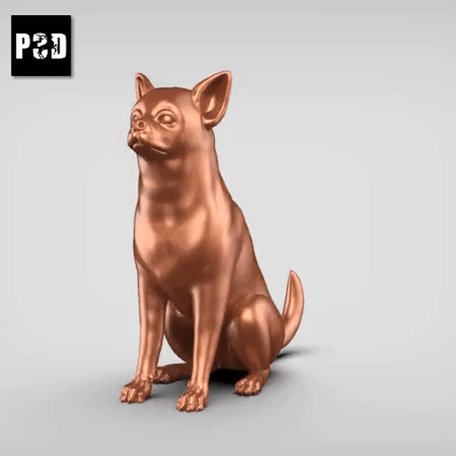 Chihuahua V2 3D model