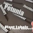 Petunia.gif 3D Printable Petunia Plant Tag – Colorful Multi-Color & STL Files for Vibrant Gardens