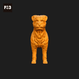 277-Border_Terrier_Pose_01.gif Border Terrier Dog 3D Print Model Pose 01