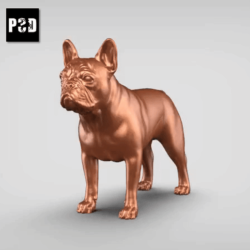 French Buldog V3 3D model