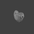 ammonite1-gif.gif Fichier 3D Ammonites・Plan pour imprimante 3D à télécharger