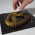 20220207_191351.gif ARTICULATED ROBOT SNAKE FEMALE print-in-place