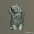 Wing_fem_torso.gif Torso feminino com asas
