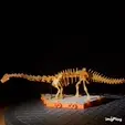 gif-diplo.gif [3Dino Puzzle]Large Dinosaur Museum Premium Set