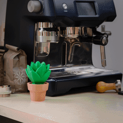 Gif_Cute_Cactus_Holoprops.gif 3D file Cute Cactus Home Decor - Print in Place・Model to download and 3D print, Holoprops