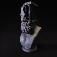 Thumb.gif Fichier STL Buste de ruines grecques・Design imprimable en 3D à télécharger