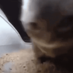 Entre nosotros - Modelo de impresión 3D